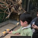 동탄 실내동물원 주렁주렁 동탄점 다녀왔어요 32개월 태하랑 다녀온 후기