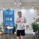 마리켄넬 24시강아지분양 애견분양 애견샵 이미지