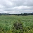 성읍리-22 이미지