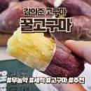 영암햇살농장 | 꿀고구마 5kg 무농약 김의준고구마 세척 고구마 추천