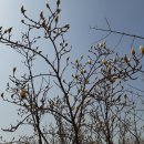 모담공원 이미지