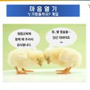 충남 홍성군청 청렴도분석 및 갑질과 고충민원(04월10일) 이미지