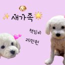 뽀송 이미지