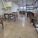 티엔트리Tea&Tree