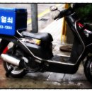 자이자동차세상 이미지