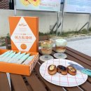 디자인이스트 이미지