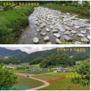 부자마을합동공인중개사사무소 | 정선 과수원및 농막적합 화암면 513평 전 계획관리 4600만