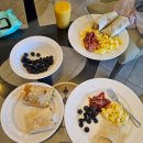 씨엔씨퍼스트스트릿호텔 | 아이랑 라스베가스여행 #8 밸리오브파이어 주립공원 캐년 프레몬트 스트리트 라스베가스 올드스트릿