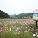 구룡천1 뉴스1