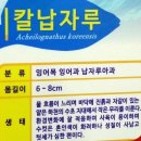 의성 토속어류산업화센터를 다녀오다.