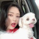 최광호동물병원 이미지