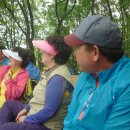 우면산3-9 이미지