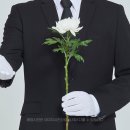 중앙장의사 이미지