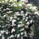 홍천산골놀이터 이미지