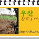 가람바이크119