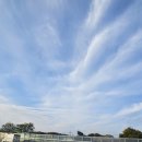 서선초등학교 이미지