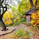 제694차 10월 정기산행 안내 (강원 정선, 노추산 / 1,322m) 이미지