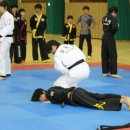 하남 무림합기도 이미지