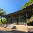 완산-80 | 🙏수양 많이 된다🙏서고사 템플스테이 1박2일🪷