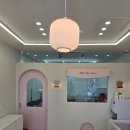 힐스 펫살롱 | 새로운 애견 미용 천국, 매산동애견미용 힐스 펫살롱에서의 특별한 경험