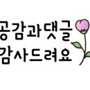 피자마루은평 이미지