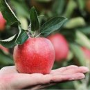 봉화농장 이미지