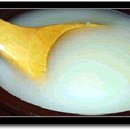 한잔의추억 이미지