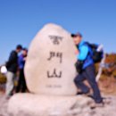 새산 Daum카페