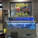 보배네산꼼장어