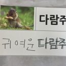 동그라미유치원 이미지