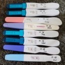 참좋은선약국 이미지