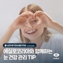 (주)에실로코리아