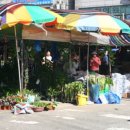 모란다목적공영주차장 이미지