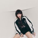 연승어패럴 이미지