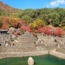 삼성궁 이미지
