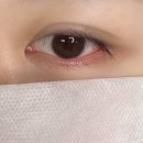 스튜디오썸머브로우
