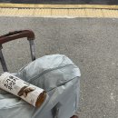 석곡버스터미널 | 밥사진만 있는 구례 교육원 신규교육 후기!!(정보 쪼끔)