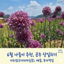 코끼리떡집 - 북구 호계로 332-2 | 코끼리떡집