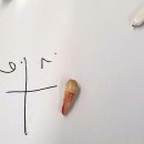 브레이스치과의원 이미지