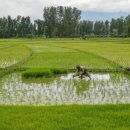 태학농장 이미지