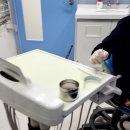 [육아] 5세 충치치료 후기 웃음가스효과 지아이고민 운정어린이치과
