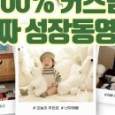필름더데이즈