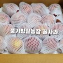 밤실농장 네이버블로그