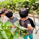 아포어린이집 이미지