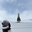 11590-라31-4 | 비에이 투어 후라노 북해도 삿포로 1일 버스투어 일본 라쿠투어 강추 후기