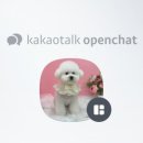 개멋지개 이미지