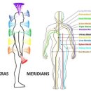 우리 몸의 에너지 체계 알기-알기쉬운 경락학 수업 안내 이미지
