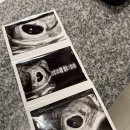 연세맘스그린여성의원 이미지