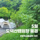 광명도덕산캠핑장 | 초록 가득한 광명도덕산캠핑장 분위기(feat. 장작사용금지 기간)