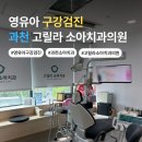 래미안치과의원 | 과천 영유아 구강검진 (고릴라 소아치과)
